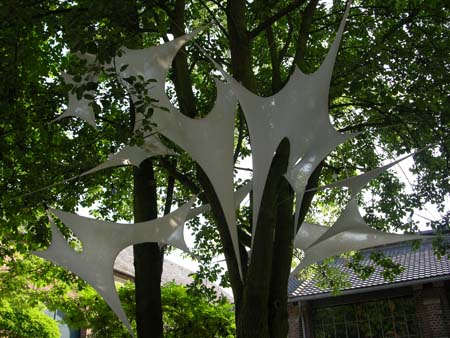 evo0512.jpg