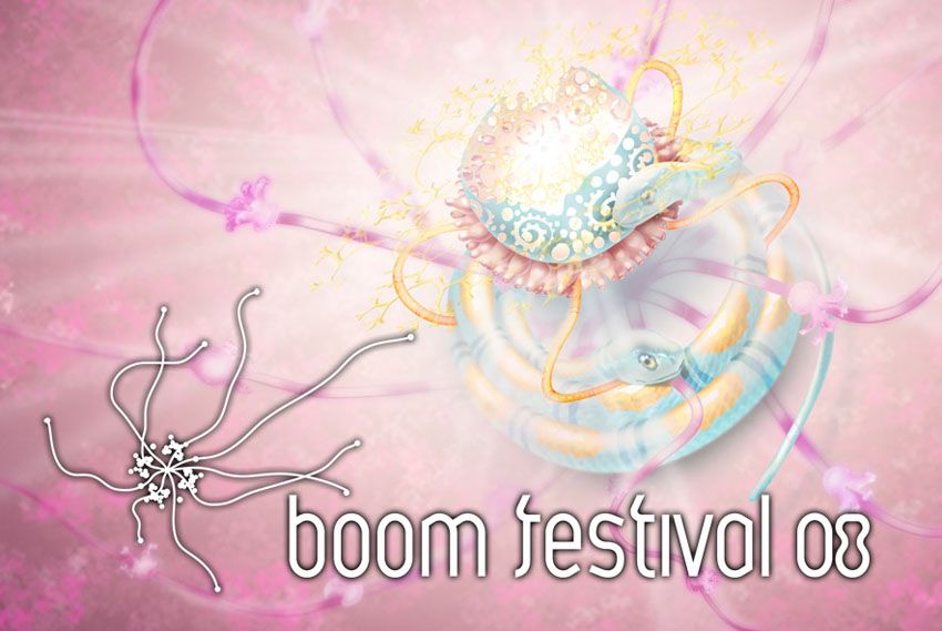 Flyer boom 2008