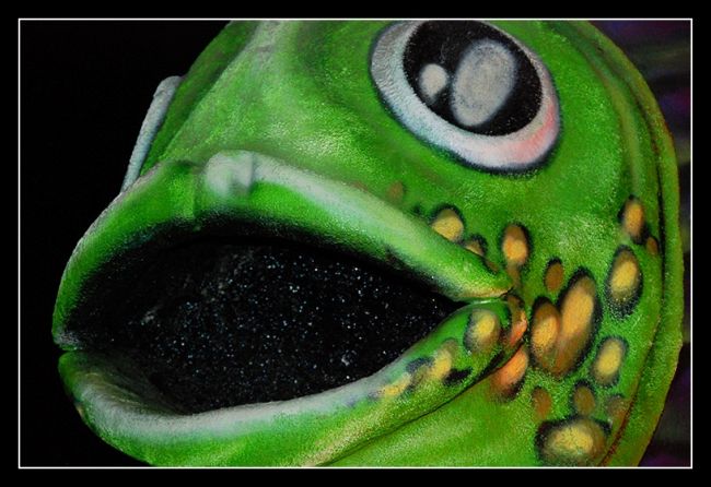 nebio4.jpg