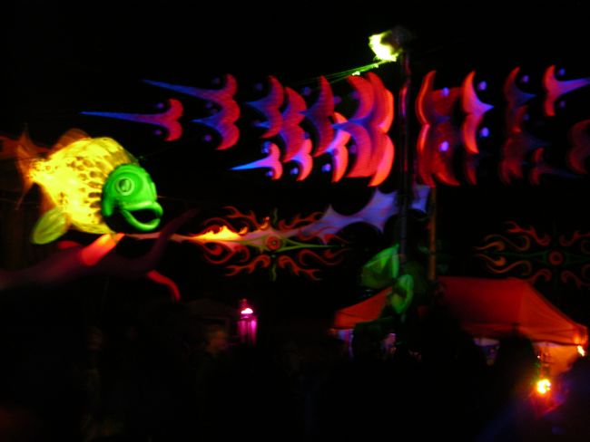 goagil096.jpg