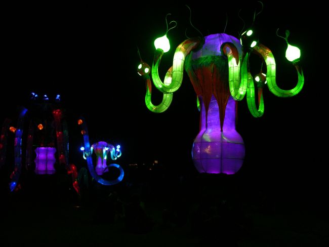 Galerie boom festival 2010