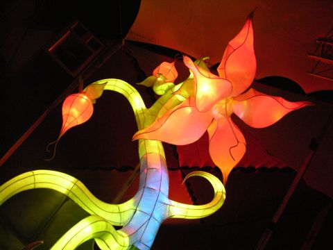 Galerie freedom festival