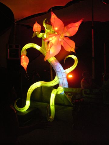 freedom2011,11.jpg