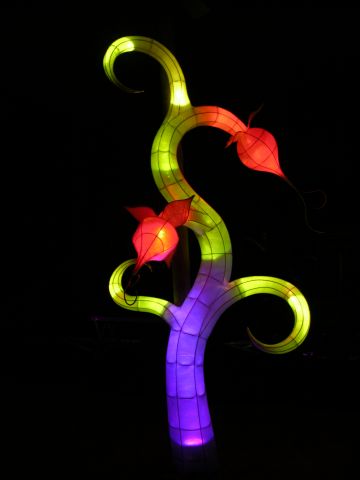 freedom2011,4.jpg