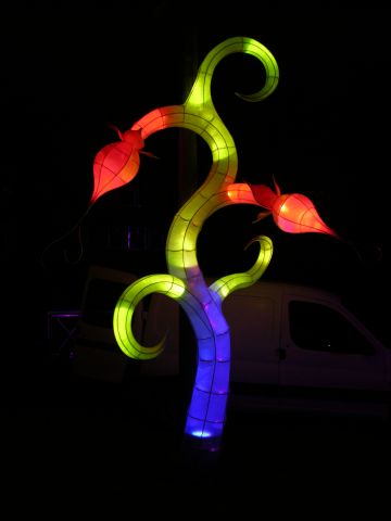 freedom2011,5.jpg