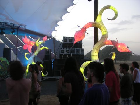 freedom2011,6.jpg