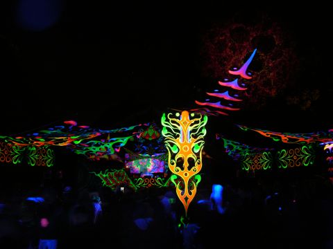 goagil2011,5.jpg