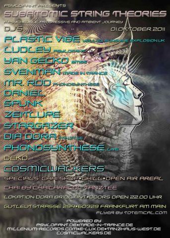 Flyer subatomic stringtheorie