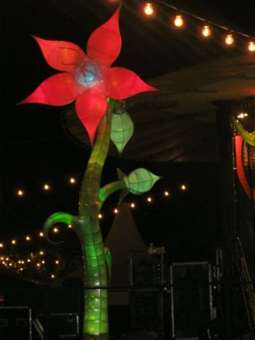 Galerie summer opening 2011
