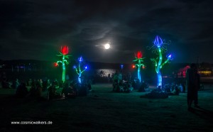 Boom Festival 2014