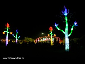 Boom Festival 2014