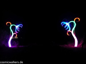 DSCN3907