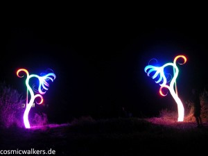 DSCN3909