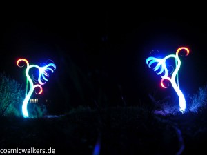 DSCN3911