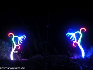 DSCN3913