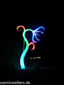 DSCN3915