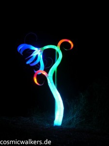 DSCN3916