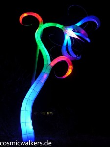 DSCN3922