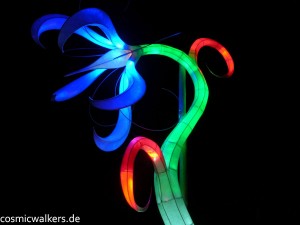 DSCN3924
