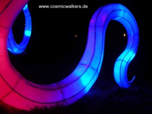 DSCN3953